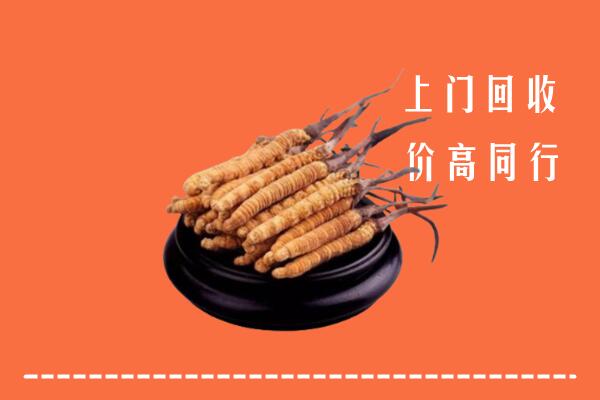 高价求购：永顺县回收散虫草