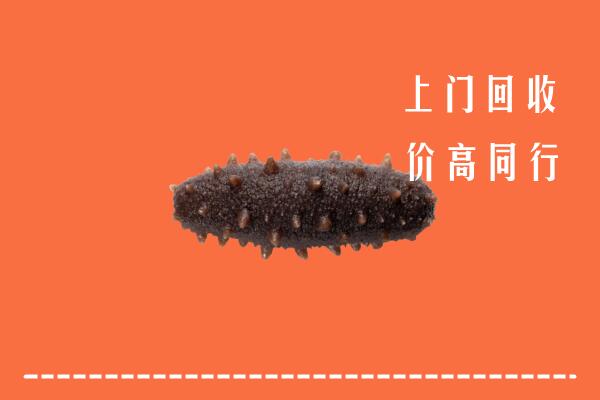永顺县回收海参