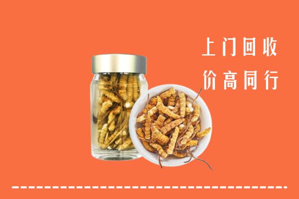 永顺县回收冬虫夏草