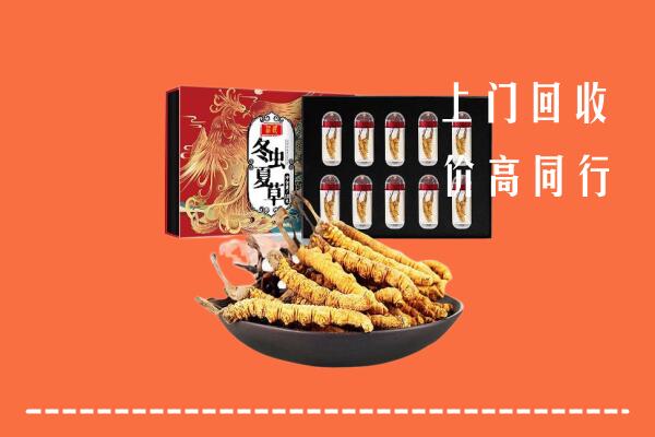 永顺县回收虫草
